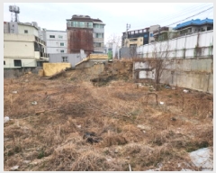  2025Ÿ��7502 �뱸 �ϱ� ������ 148-1       ����(����)���