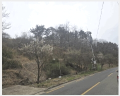  2025Ÿ��7610  ���������