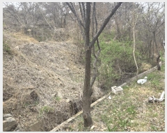  2025Ÿ��7610  ���������