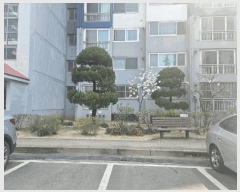  2025Ÿ7632   Ͼ ݶ 392-1 ϾԵƮ 110 1102ȣ   Ʈ