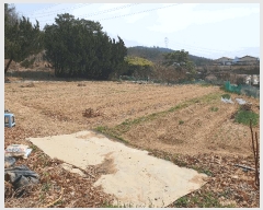  2025Ÿ��7643  �����