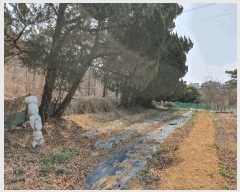  2025Ÿ��7643  �����