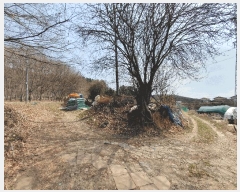  2025Ÿ��7643  �����