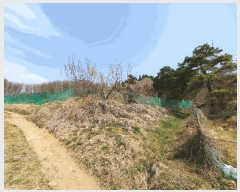  2025Ÿ��7643  �����