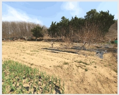  2025Ÿ��7643  �����