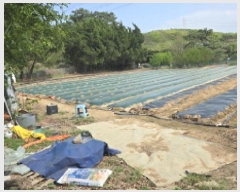  2025Ÿ��7643  �����