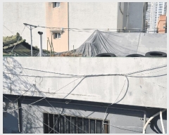  2025Ÿ��7665 �뱸 �߱� ���굿 882       ���ð��