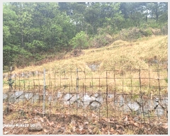  2025Ÿ��7776 ��� û���� ������ �ݰ 943      ����(��1)���