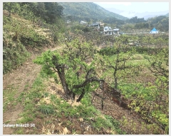  2025Ÿ��7776 ��� û���� ������ �ݰ 943      ����(��1)���