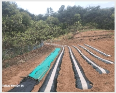  2025Ÿ��7776 ��� û���� ������ �ݰ 943      ����(��1)���