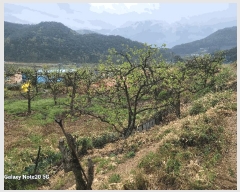  2025Ÿ��7776 ��� û���� ������ �ݰ 943      ����(��1)���