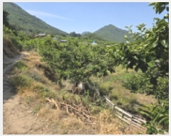  2025Ÿ��7776 ��� û���� ������ �ݰ 943      ����(��1)���