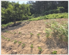  2025Ÿ��7776 ��� û���� ������ �ݰ 943      ����(��1)���