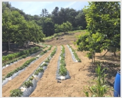  2025Ÿ��7776 ��� û���� ������ �ݰ 943      ����(��1)���