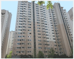  2025Ÿ7798 뱸  Ȳݵ 365 ĳũ 1505 5501ȣ    Ʈ