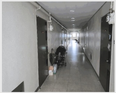  2025Ÿ7809 뱸 ߱ 굿 694-3 ݿƳʽ׽Ÿǽ 5505ȣ     ǽڰ