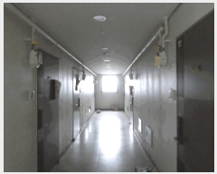  2025Ÿ��7863  ���ǽ��ڰ��