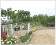  2025Ÿ��8059 ��� ��õ�� �ų�� ������ 805-2      ����(��1)���