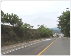  2025Ÿ��8059 ��� ��õ�� �ų�� ������ 805-2      ����(��1)���