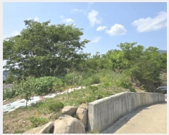  2025Ÿ��8059 ��� ��õ�� �ų�� ������ 805-2      ����(��1)���