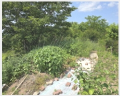  2025Ÿ��8059 ��� ��õ�� �ų�� ������ 805-2      ����(��1)���