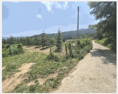  2025Ÿ��8082  ����