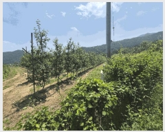  2025Ÿ��8082  ����