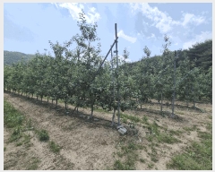  2025Ÿ��8082  ����