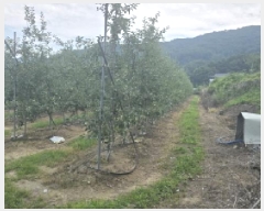  2025Ÿ��8082  ����