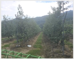  2025Ÿ��8082  ����