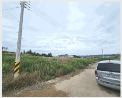  2025Ÿ��8219  �������