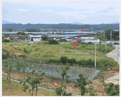  2025Ÿ��8219  �������