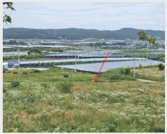  2025Ÿ��8219  �������