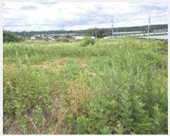  2025Ÿ��8219  �������