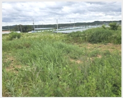  2025Ÿ��8219  �������