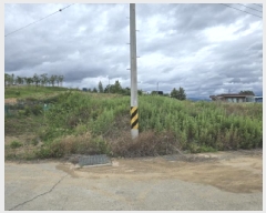  2025Ÿ��8219  �������