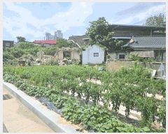  2025Ÿ��8269 ��� ĥ� �ְ��� �ְ��� 615-1      ����(����)���