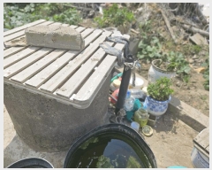  2025Ÿ��8269 ��� ĥ� �ְ��� �ְ��� 615-1      ����(����)���