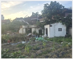  2025Ÿ��8269 ��� ĥ� �ְ��� �ְ��� 615-1      ����(����)���