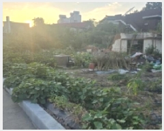  2025Ÿ��8269 ��� ĥ� �ְ��� �ְ��� 615-1      ����(����)���