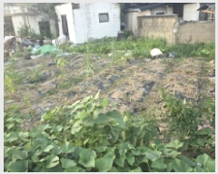  2025Ÿ��8269 ��� ĥ� �ְ��� �ְ��� 615-1      ����(����)���