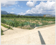  2025Ÿ��8380  ����