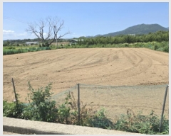  2025Ÿ��8380  ����