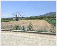  2025Ÿ��8380  ����