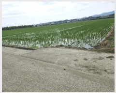  2025Ÿ��8403 ��� ���� ���̸� ������ 233      ����(��)���