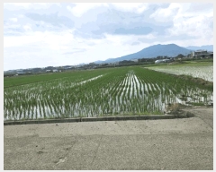  2025Ÿ��8403 ��� ���� ���̸� ������ 233      ����(��)���