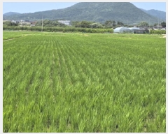  2025Ÿ��8403 ��� ���� ���̸� ������ 233      ����(��)���