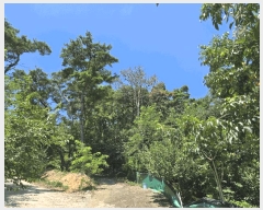  2025Ÿ��8669 ��� ĥ� ��õ�� ���긮 ��99      ����(�Ӿ�)���