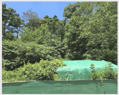  2025Ÿ��8669 ��� ĥ� ��õ�� ���긮 ��99      ����(�Ӿ�)���