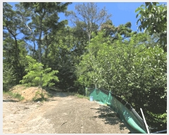  2025Ÿ��8669 ��� ĥ� ��õ�� ���긮 ��99      ����(�Ӿ�)���